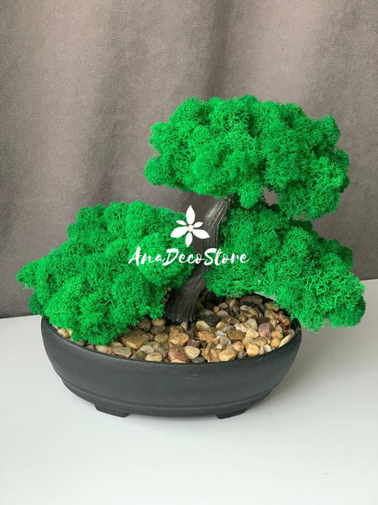 Bonsai din licheni